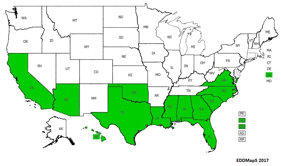 7 DistributionJPG